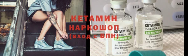 индика Богородск