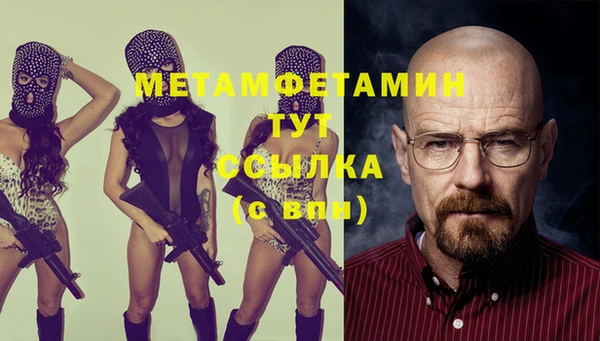 индика Богородск