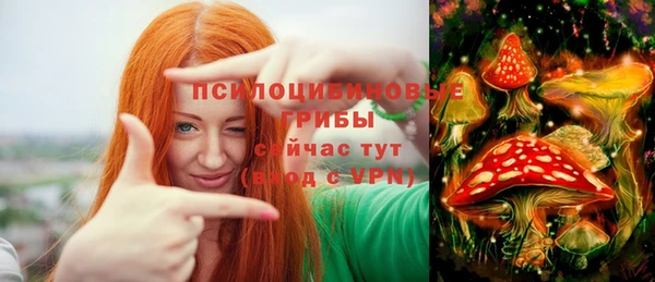 СК Бородино