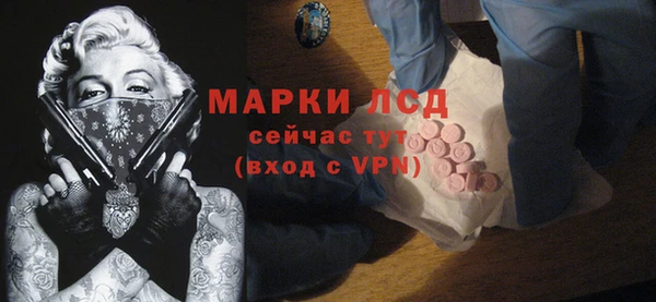 индика Богородск