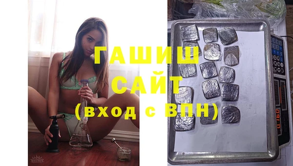 индика Богородск